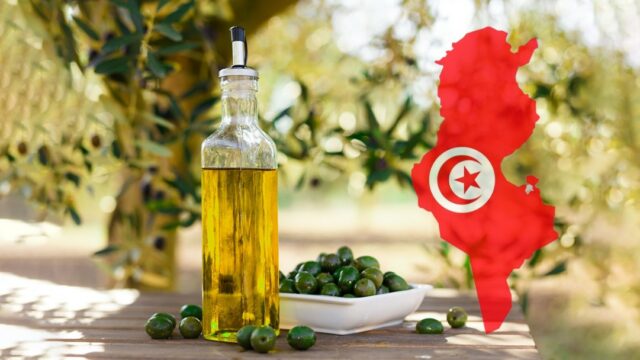 موفى سبتمبر: 4آلاف مليون دينار قيمة صادرات زيت الزيتون