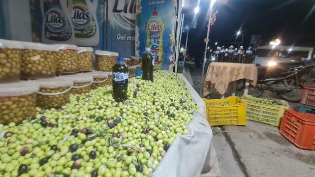 الذهب الاخضر المهدور:مهرجان زيت الزيتون بتبرسق.. ثروة وطنية هائلة ومهرجان ضعيف