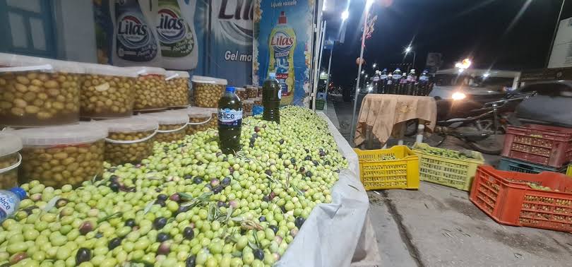الذهب الاخضر المهدور:مهرجان زيت الزيتون بتبرسق.. ثروة وطنية هائلة ومهرجان ضعيف