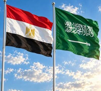 مصر تدعو لبحث كل الخيارات للتوصل إلى حل سياسي بين السعودية والحوثيين