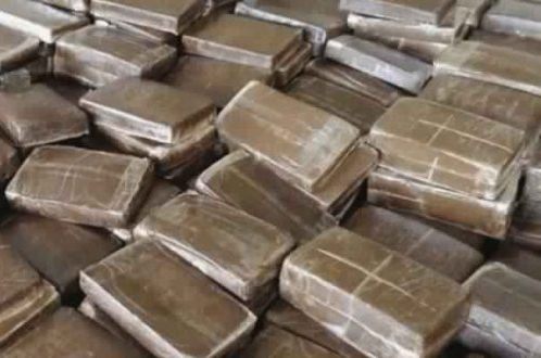 خلال سبتمبر:حجز 110 صفيحة “زطلة” و3 كيلوغرامات كوكايين و25 ألف قرص مخدر